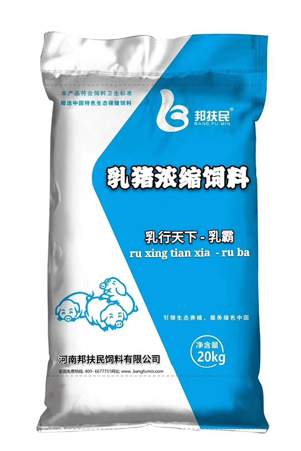 乳猪银杏网站入口在线观看视频